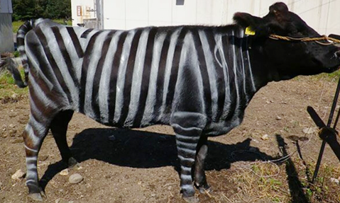 08 - header tomando cafe - meetingsmexico