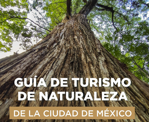 05 - Enchiladas Verdes - meetingsmexico