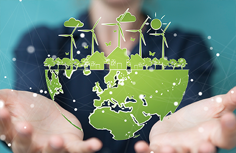 05 - Enchiladas Verdes - meetingsmexico