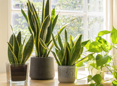 08 - header tomando cafe - meetingsmexico