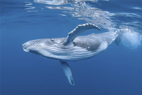 08 - header tomando cafe - meetingsmexico