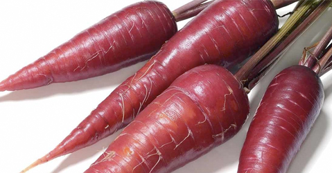 08 - header tomando cafe - meetingsmexico