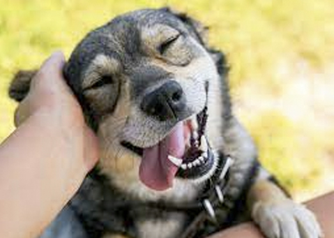 08 - header tomando cafe - meetingsmexico